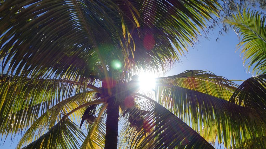 그란데 바이예 Coconuts 빌라 외부 사진